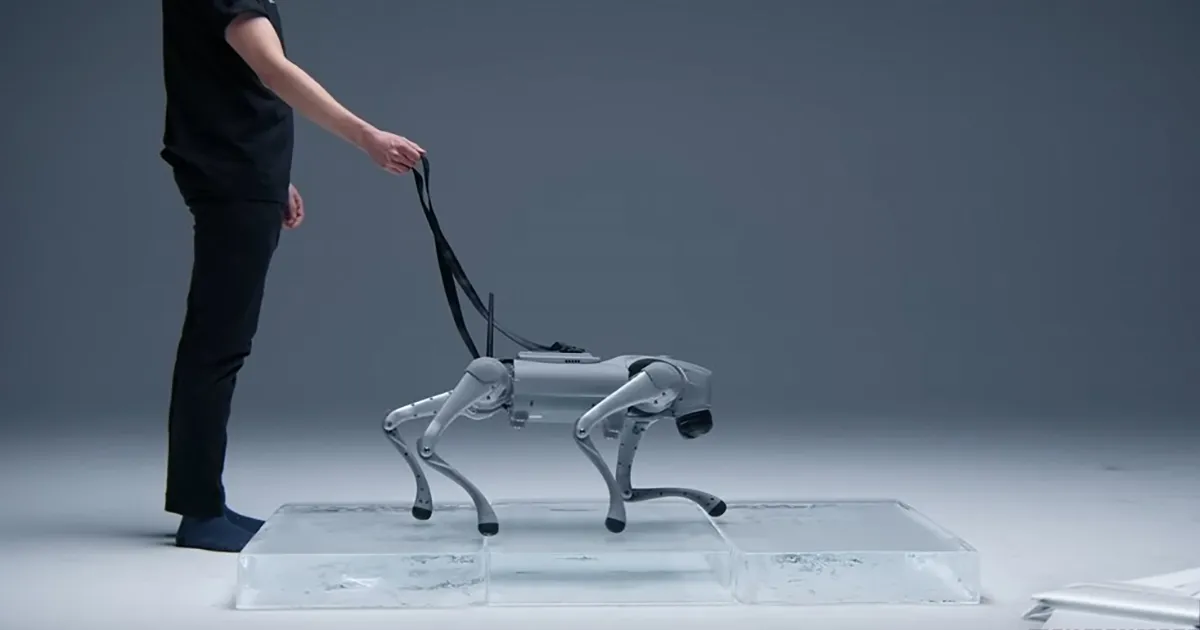 Luna der Roboter Hund